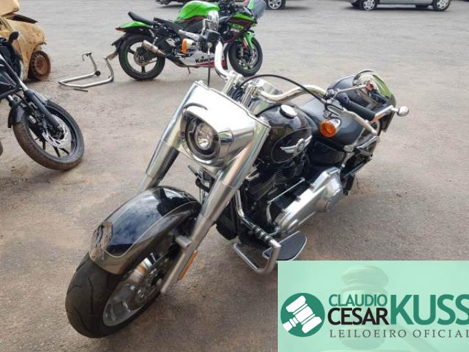 HARLEY DAVIDSON SOFTAIL 20/20